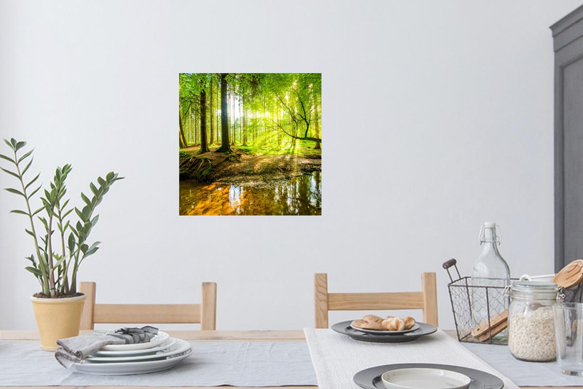 WANDTATTOO Wald - Landschaft - Wasser - Bäume - Sonne - Grün - Natur Wanddeko 50x50 cm - Grün, Kunststoff (50/50/0.1cm) - MuchoWow