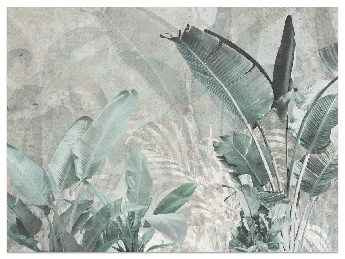 FOTOTAPETE für Küche Beton Bananenblätter Abstrakt Pflanzen Vintage 450x315 - Beige/Grau, Papier (450/315cm) - Muralo