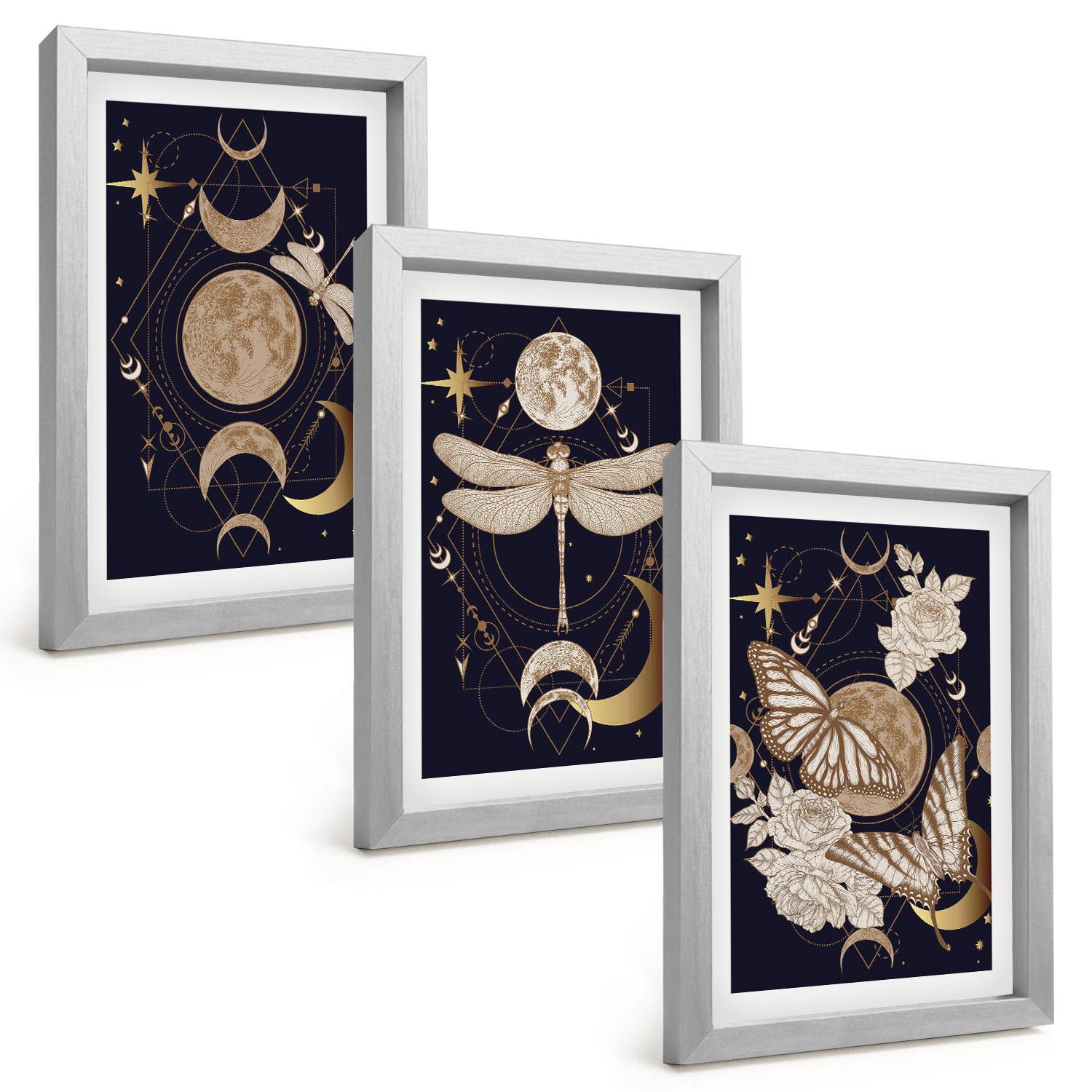 BILDER SET 3er Set - 20x30 cm Silberner Rahmen - Naturmotive Mondblumen - Silberfarben, Kunststoff (20/30cm) - TULUP