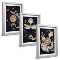 BILDER SET 3er Set - 20x30 cm Silberner Rahmen - Naturmotive Mondblumen - Silberfarben, Kunststoff (20/30cm) - TULUP
