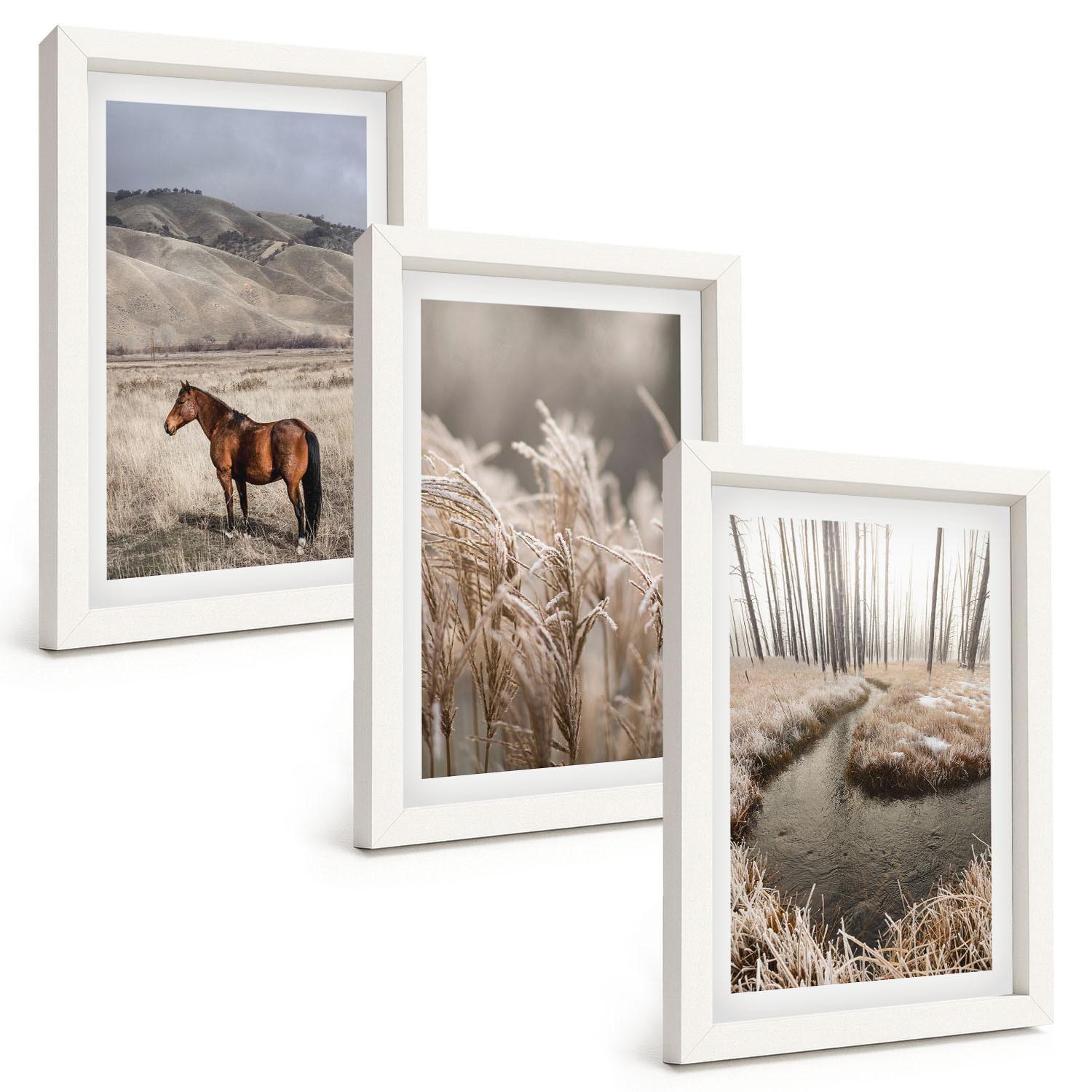 BILDER SET 3er Set - 20x30 cm Weißer Rahmen - Pferde, Landschaft, Gras, Bach - Weiß, Kunststoff (20/30cm) - TULUP