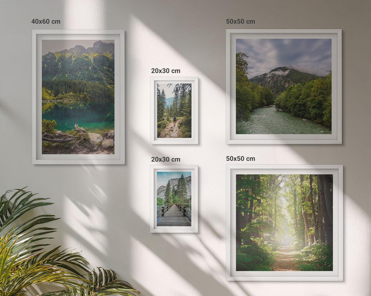BILDER SET 5er Set - 50x50 cm & 20x30 cm & 40x60 cm Weißer Rahmen - Straße Wald Berge Hirsch Natur - Weiß, Kunststoff (40/60cm) - TULUP