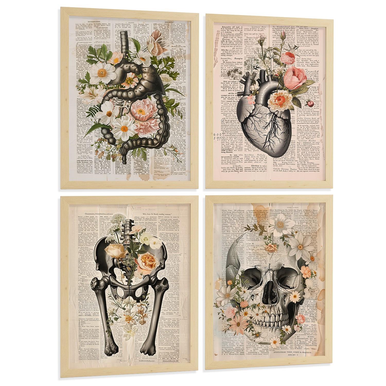 POSTER Set aus 4 Anatomie Mensch Botanische Drucke und mit Organen Herz Verdauungssystem Schädel und Becken Heimdekoration Leichter Holzrahmen A4 - Beige, Papier (21/29.7/3cm) - Nacnic