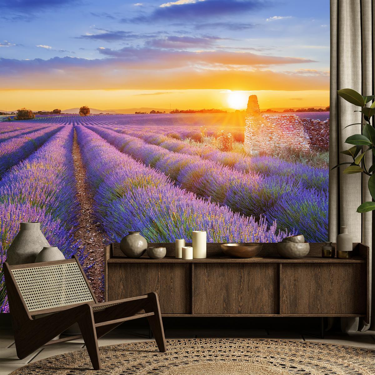 FOTOTAPETE für Wohnzimmer Lavendelfeld Sonnenuntergang Lila 150x105 - Violett/Rosa, Papier (150/105cm) - Muralo