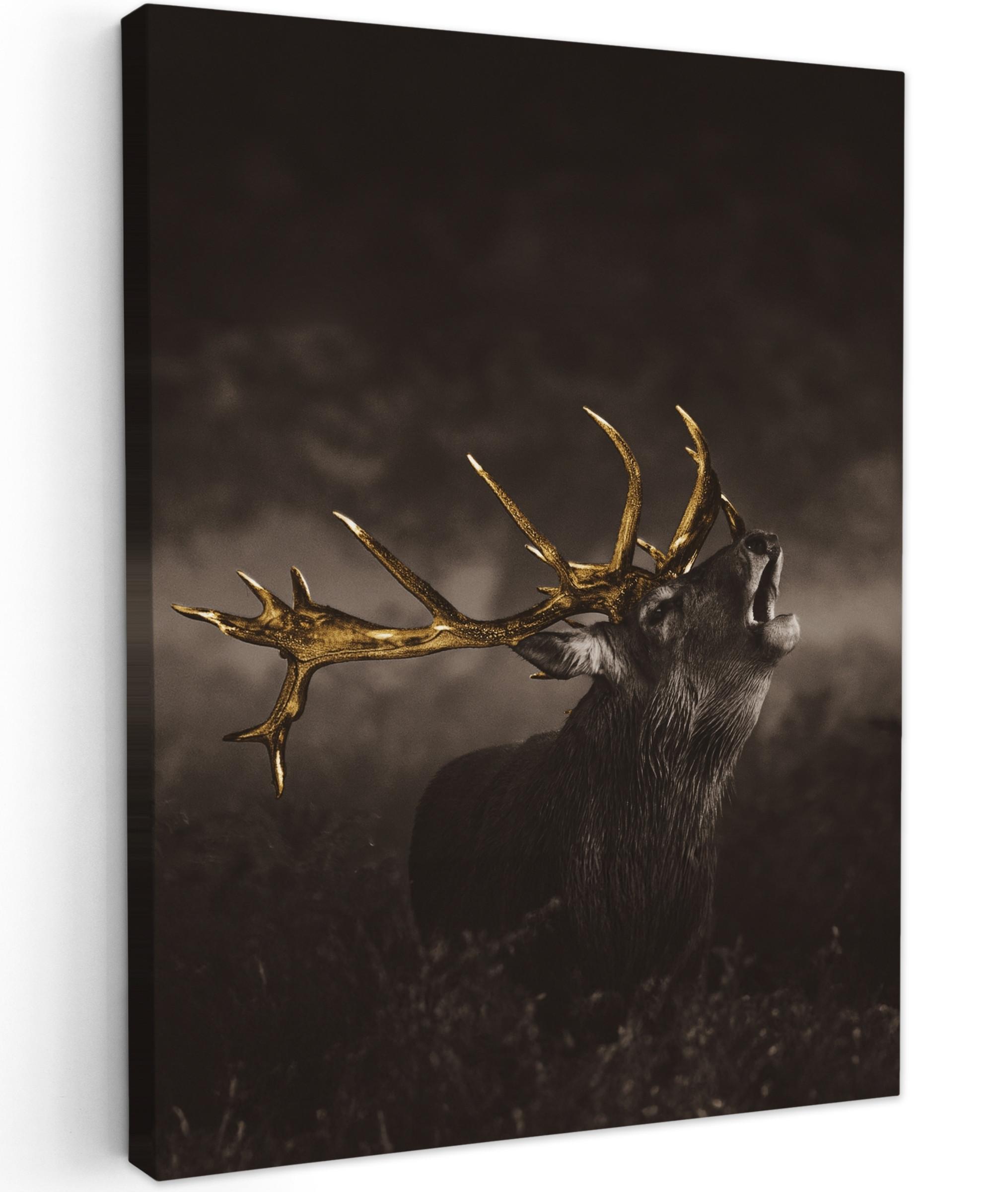 LEINWANDBILD Rotwild - Schwarz - Gold Room Decor 30x40 cm - Braun, Textil (30/40cm) - MuchoWow