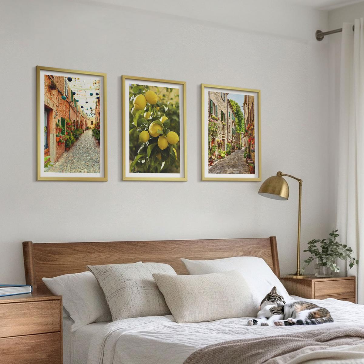 BILDER SET 3er Set - 40x60 cm Goldrahmen - Straßen mit Zitronenblüten im Hintergrund - Goldfarben, Kunststoff (40/60cm) - TULUP