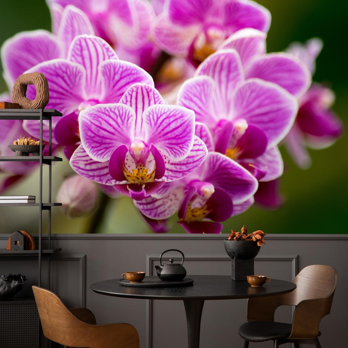 FOTOTAPETE für Wohnzimmer Violetter Orchideenstrauß Blumen 100x70 - Violett/Rosa, Papier (100/70cm) - Muralo