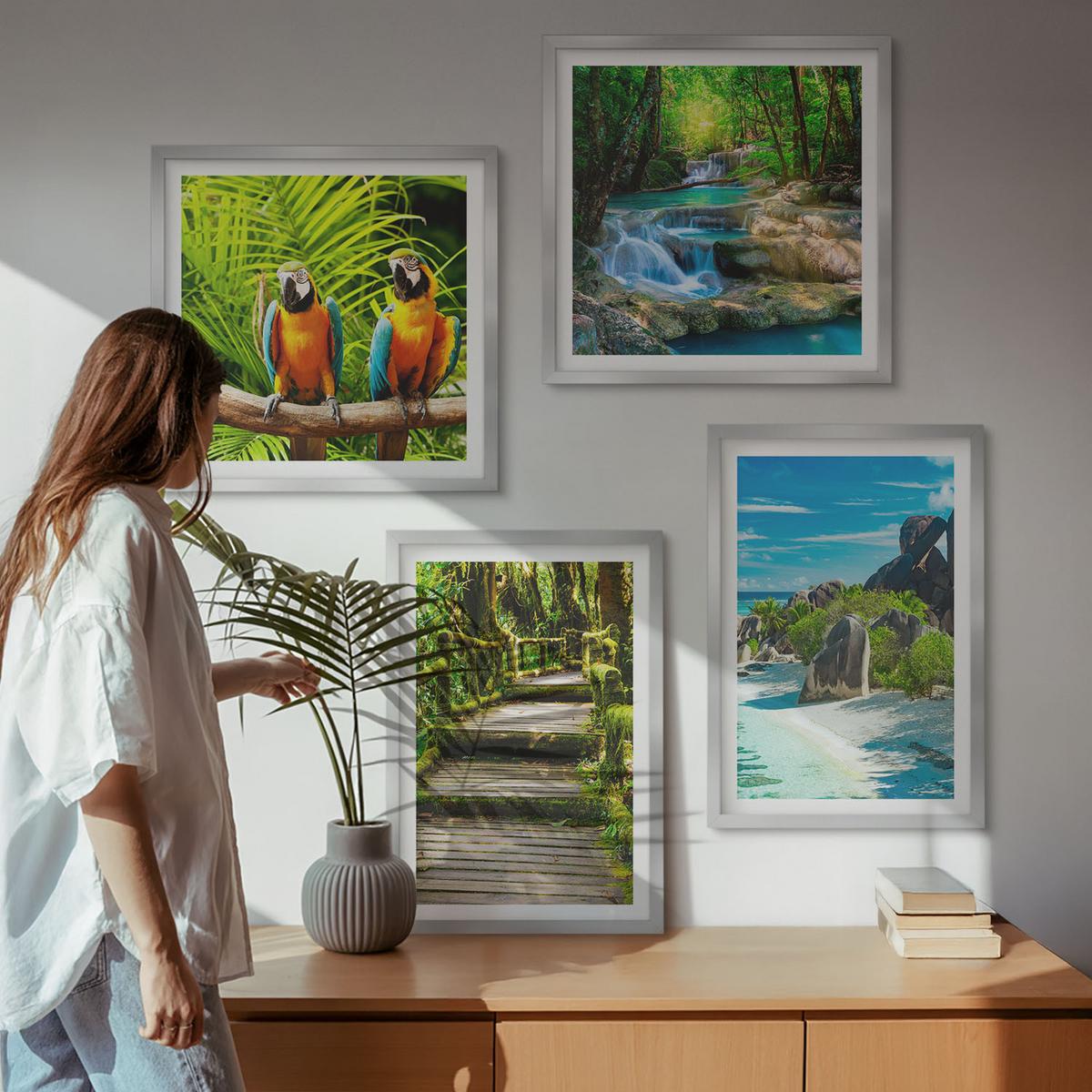 BILDER SET 4er Set - 50x50 cm & 40x60 cm Silberner Rahmen - Tropischer Wald Papageienwasserfall - Silberfarben, Kunststoff (50/50cm) - TULUP