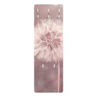 WANDGARDEROBE - Pusteblume Bokeh rosa 34/105 cm - Rosa, Holzwerkstoff (34/105/1.6cm) - Bilderwelten