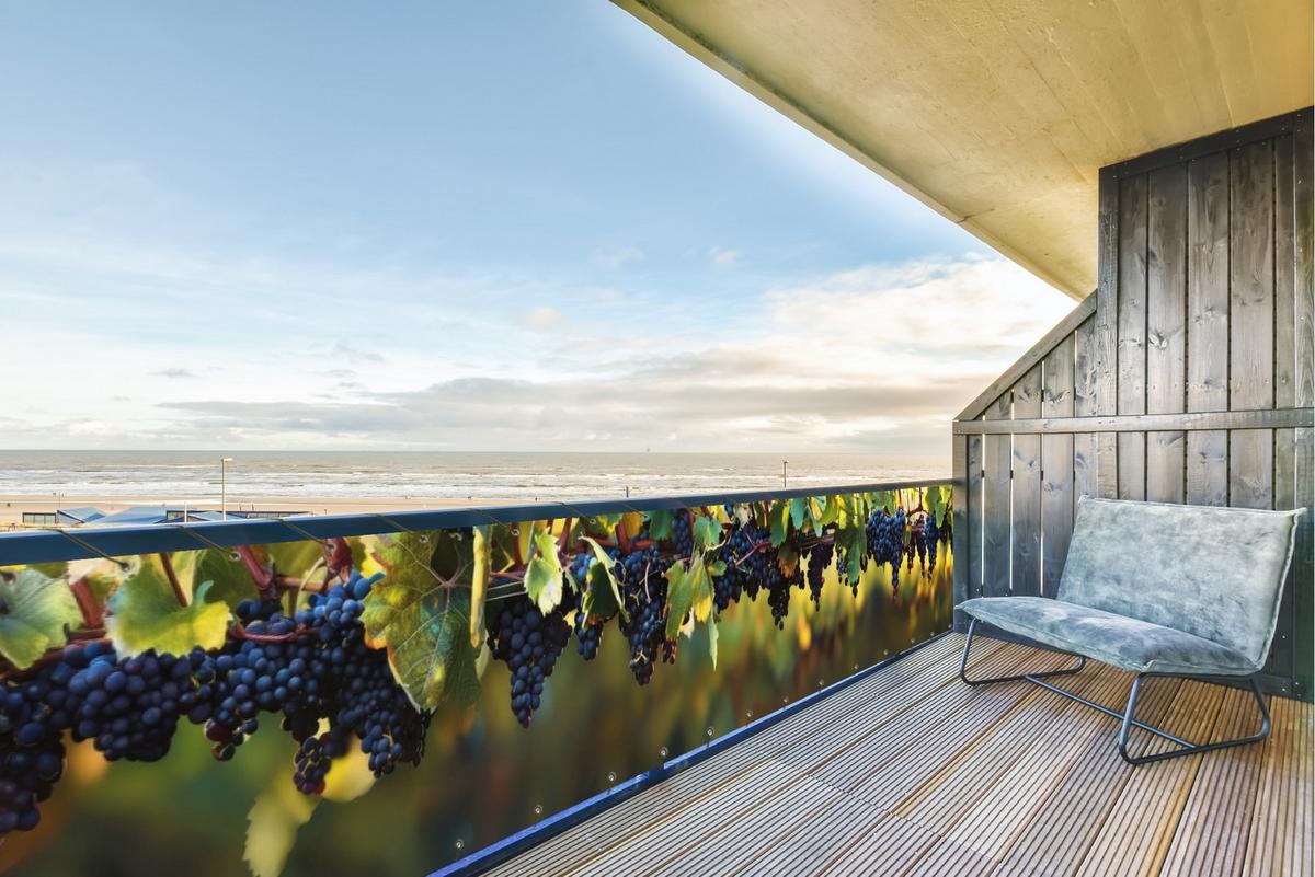 BALKON-SICHTSCHUTZ Trauben - Wein - Natur - Grün Groß 500x85 cm - Weinrot, Kunststoff (500/85cm) - MuchoWow