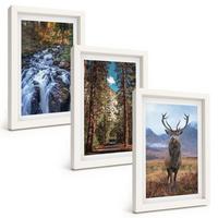BILDER SET 3er Set - 20x30 cm Weißer Rahmen - Wasserfall Wald Berge Hirsch Natur - Weiß, Kunststoff (20/30cm) - TULUP