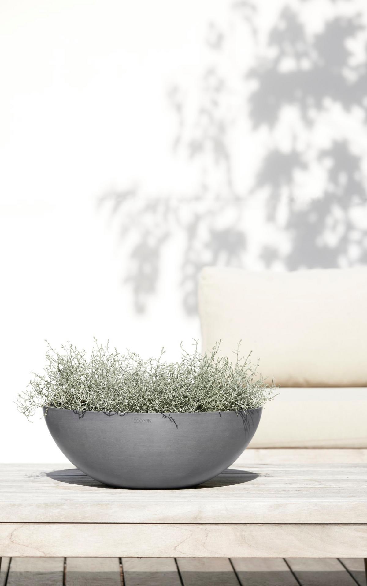 BLUMENTOPF Vienna 50,4/18,5 cm Grau - Grau, Kunststoff (50.4/18.5cm) - Ecopots