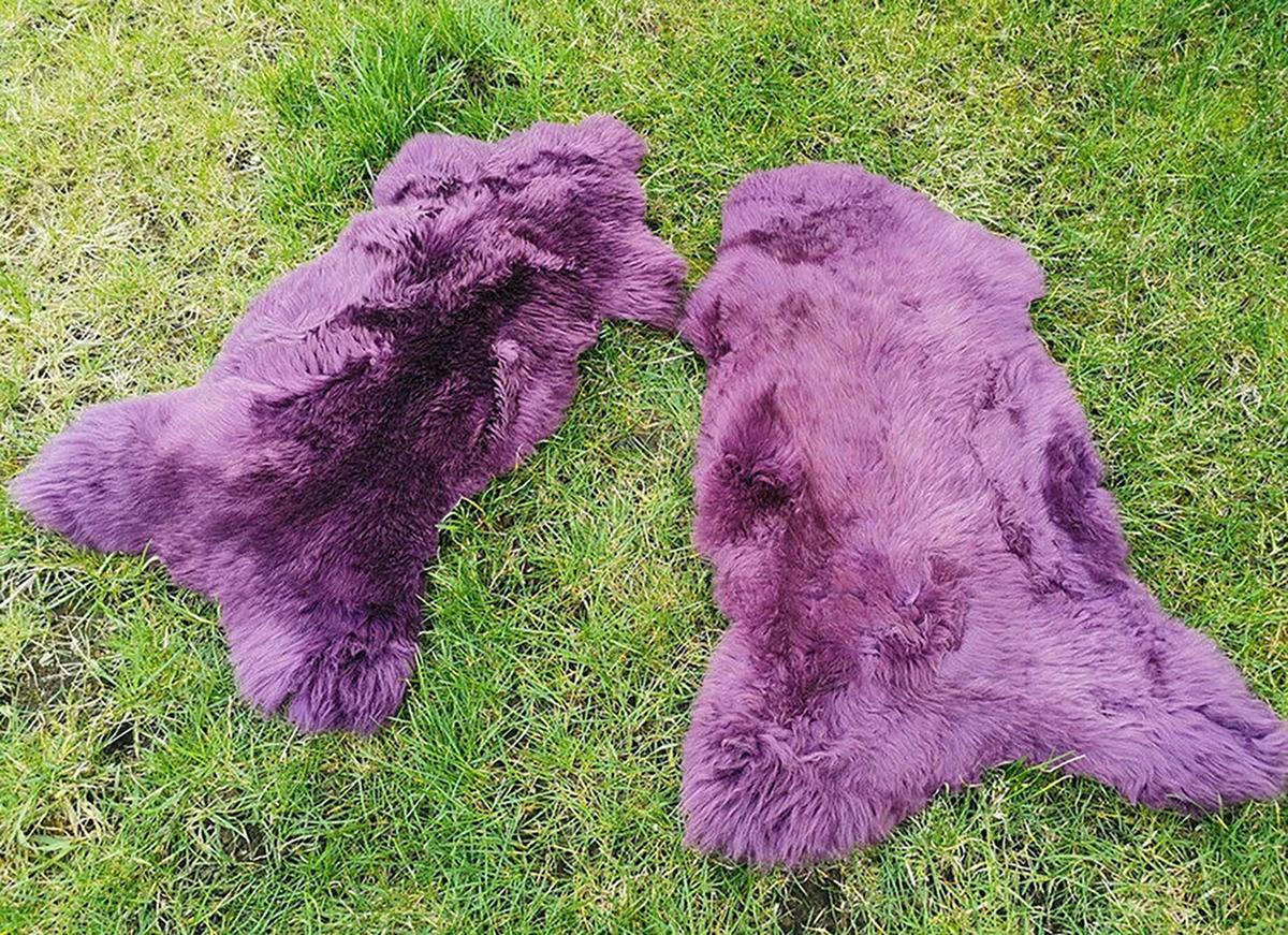 LAMMFELL Öko bunt gefärbt weich Fell Teppich Amethyst ca. 90 cm - Violett, Fell (50/90cm) - Provellus
