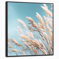LEINWAND Bilder mit Rahmen - Ziergras - Wind - Hellbraun - 90x90 - Hellblau, Textil (90/90cm) - MuchoWow