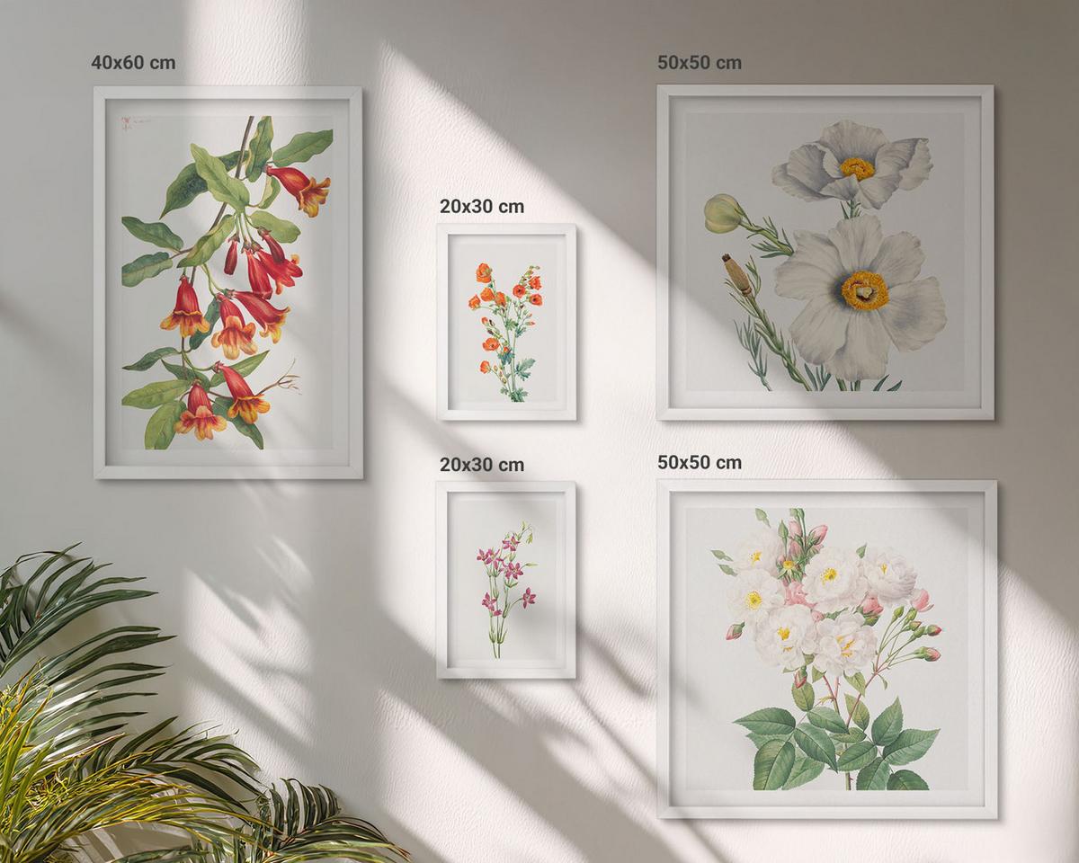 BILDER SET 5er Set - 50x50 cm & 20x30 cm & 40x60 cm Weißer Rahmen - Blumenmalerei im Retro-Stil - Weiß, Kunststoff (40/60cm) - TULUP