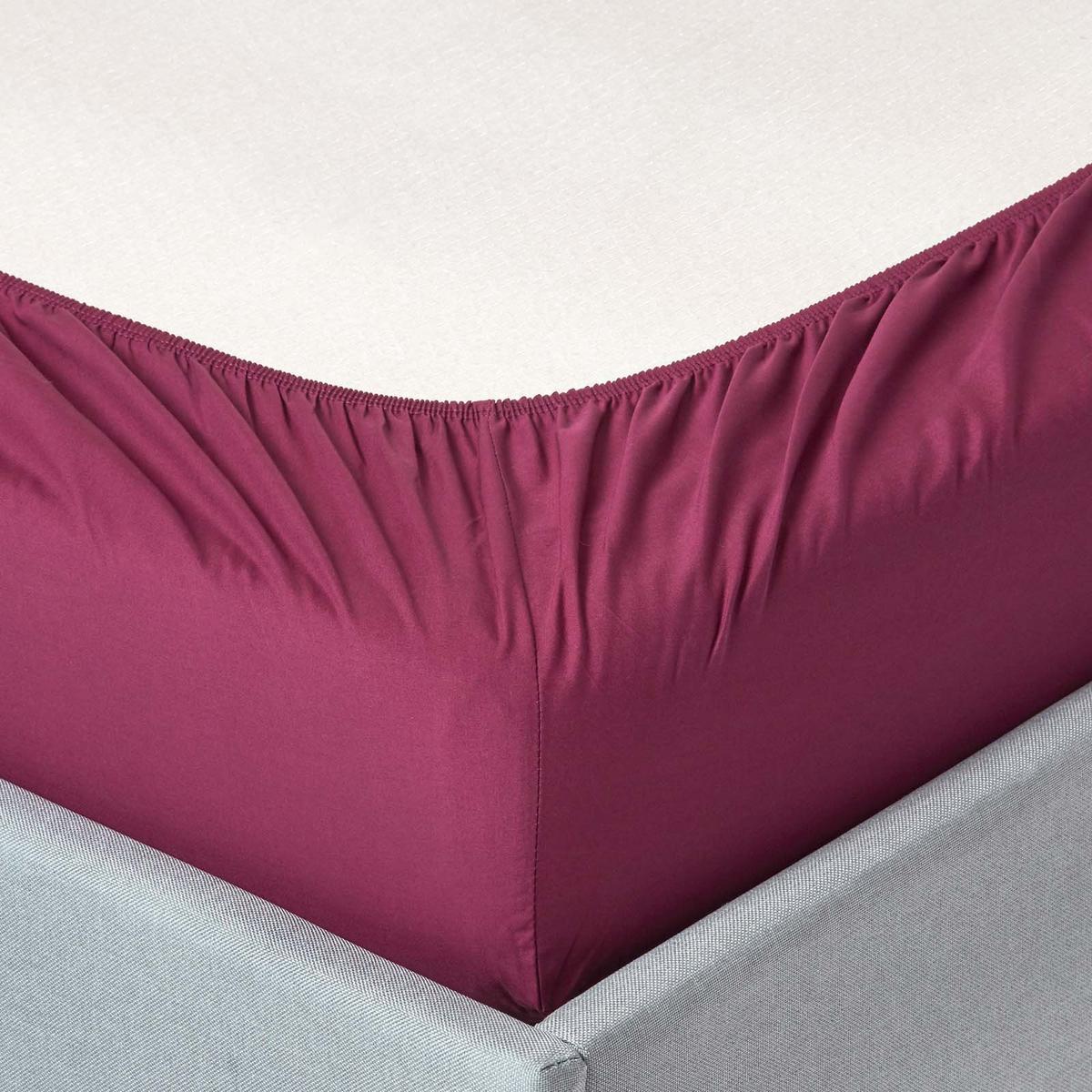 PERKAL-SPANNBETTLAKEN, Ägyptische Baumwolle, Fadendichte 200 - Beere, Textil (100/200cm) - Homescapes