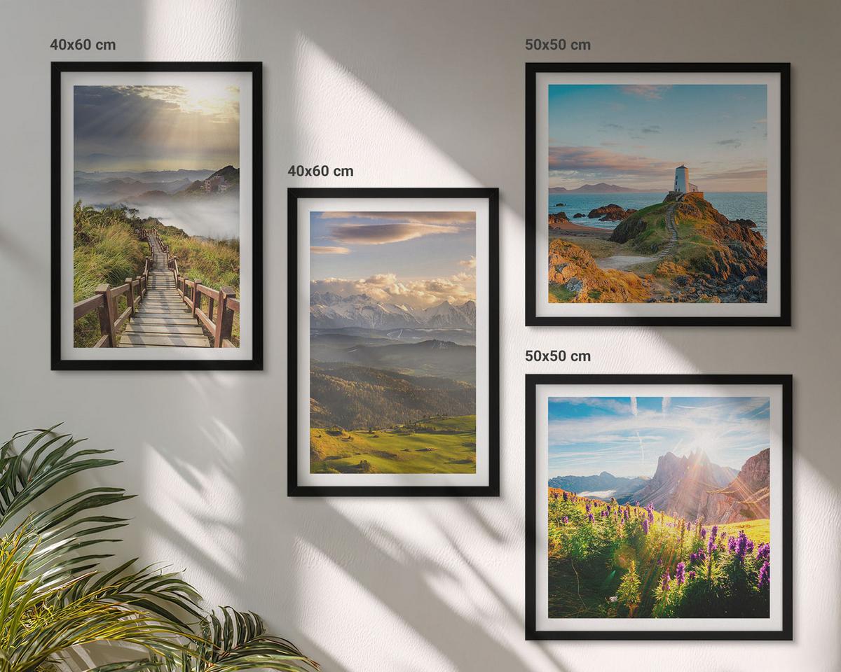 BILDER SET 4er Set - 50x50 cm & 40x60 cm Schwarzer Rahmen - Bergblumen Himmelsweg - Schwarz, Kunststoff (50/50cm) - TULUP