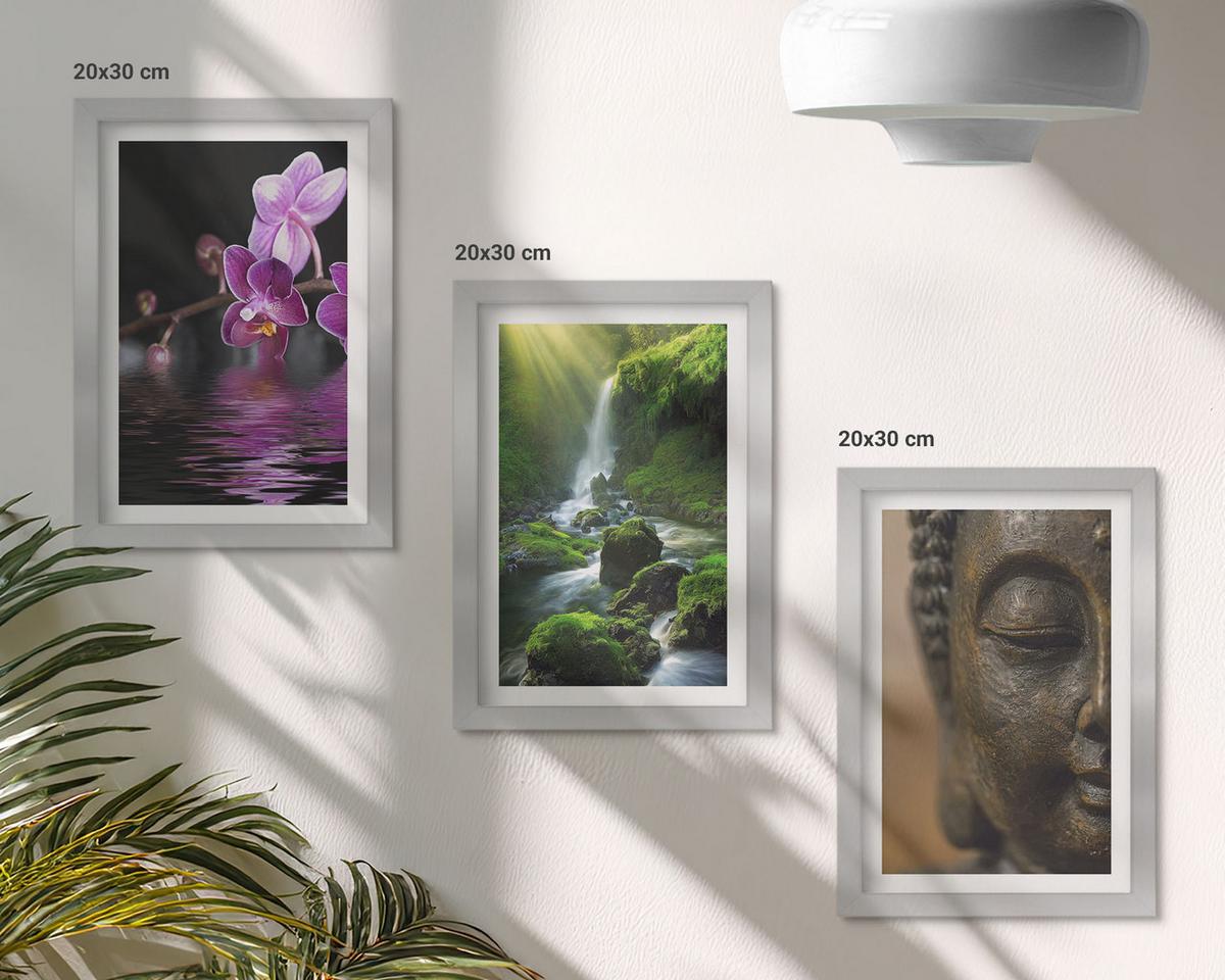 BILDER SET 3er Set - 20x30 cm Silberner Rahmen - Blumen, Wasserfall, Buddha-Felsen, Zen - Silberfarben, Kunststoff (20/30cm) - TULUP
