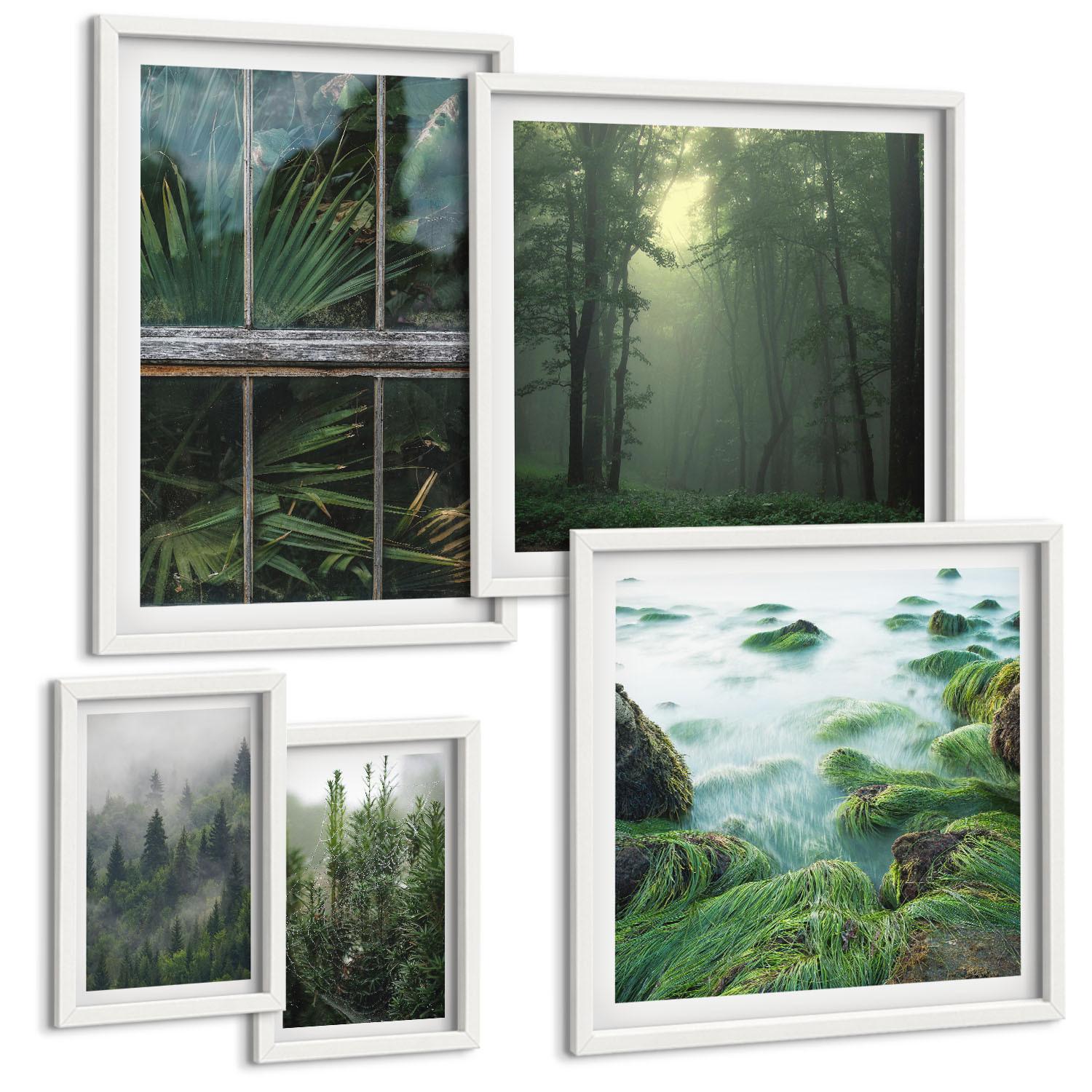 BILDER SET 5er Set - 50x50 cm & 20x30 cm & 40x60 cm Weißer Rahmen - Nahaufnahmen von Blättern sukkulenter Pflanzen - Weiß, Kunststoff (40/60cm) - TULUP