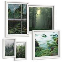 BILDER SET 5er Set - 50x50 cm & 20x30 cm & 40x60 cm Weißer Rahmen - Nahaufnahmen von Blättern sukkulenter Pflanzen - Weiß, Kunststoff (40/60cm) - TULUP
