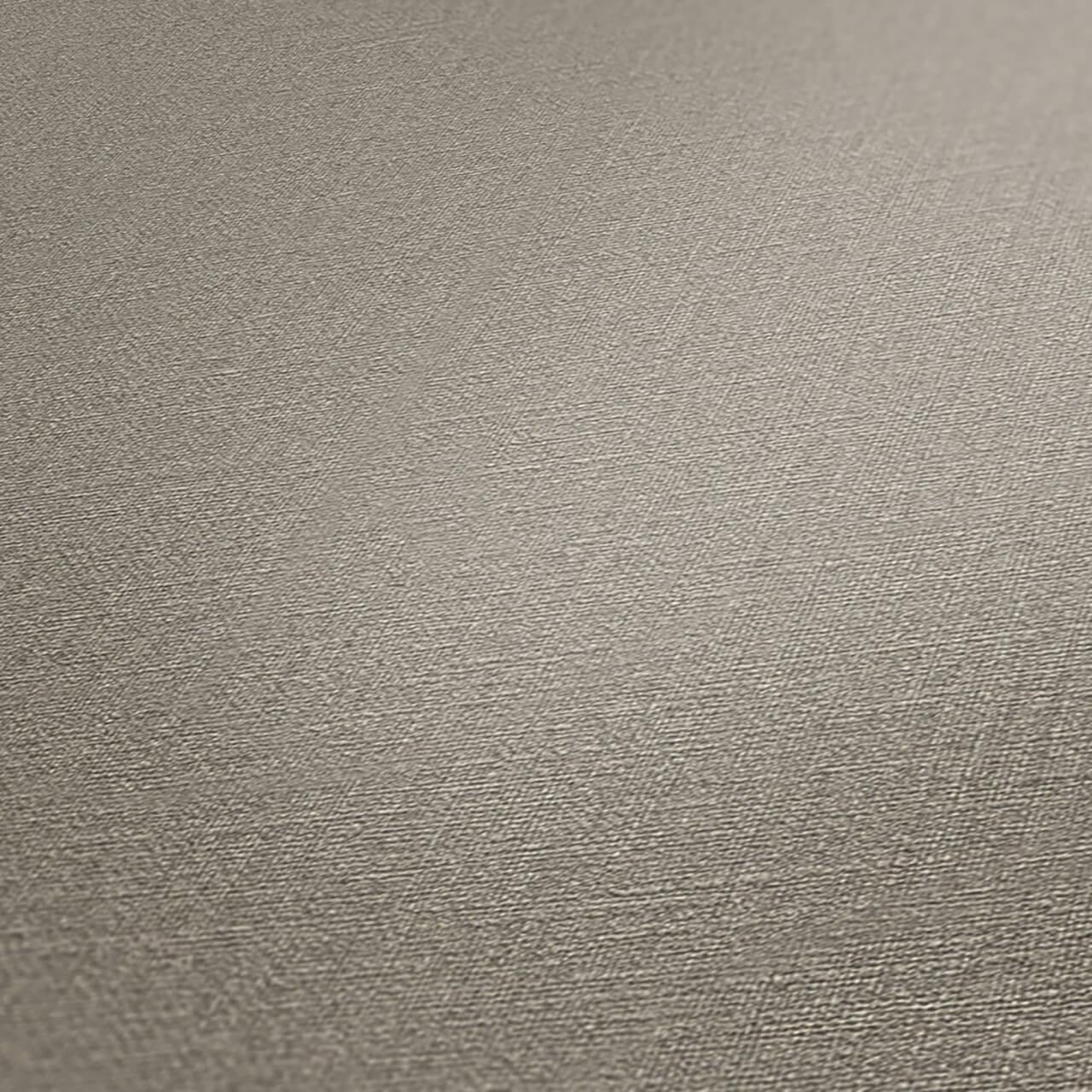 VLIESTAPETE Braun 53/1005 cm - Braun, Kunststoff/Textil (53/1cm) - KUNSTLOFT