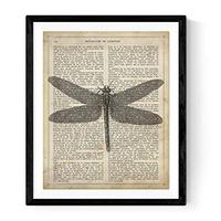 POSTER „Libelle“. A4 Schwarzer Rahmen - Schwarz, Papier (29.7/5/21cm) - Nacnic
