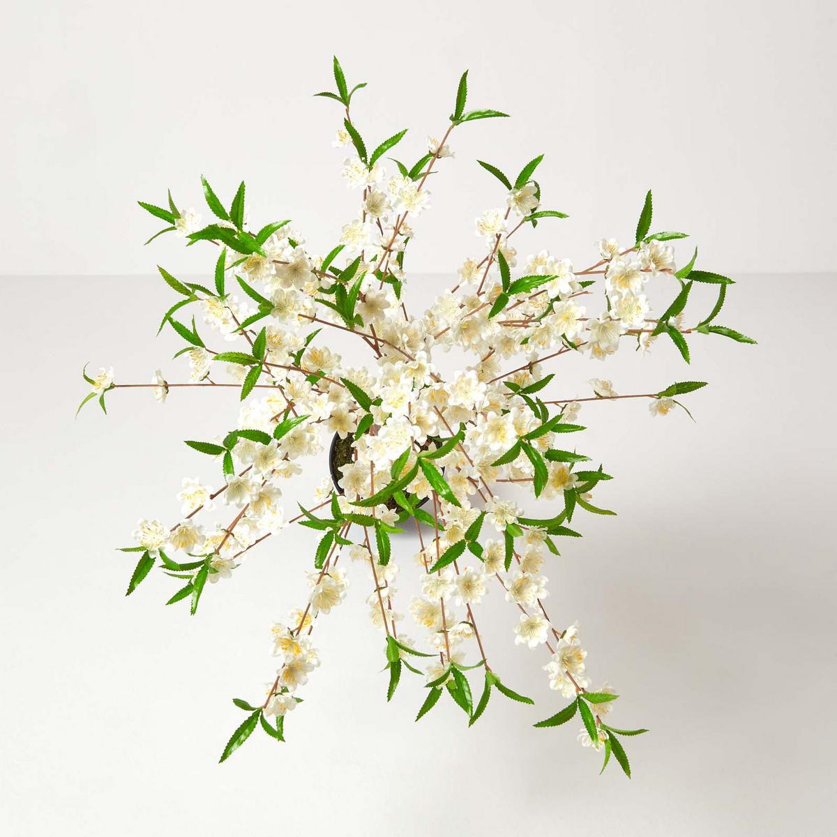 KUNSTBAUM Blüten creme, 155 cm hoch - Creme, Kunststoff (150cm) - Homescapes