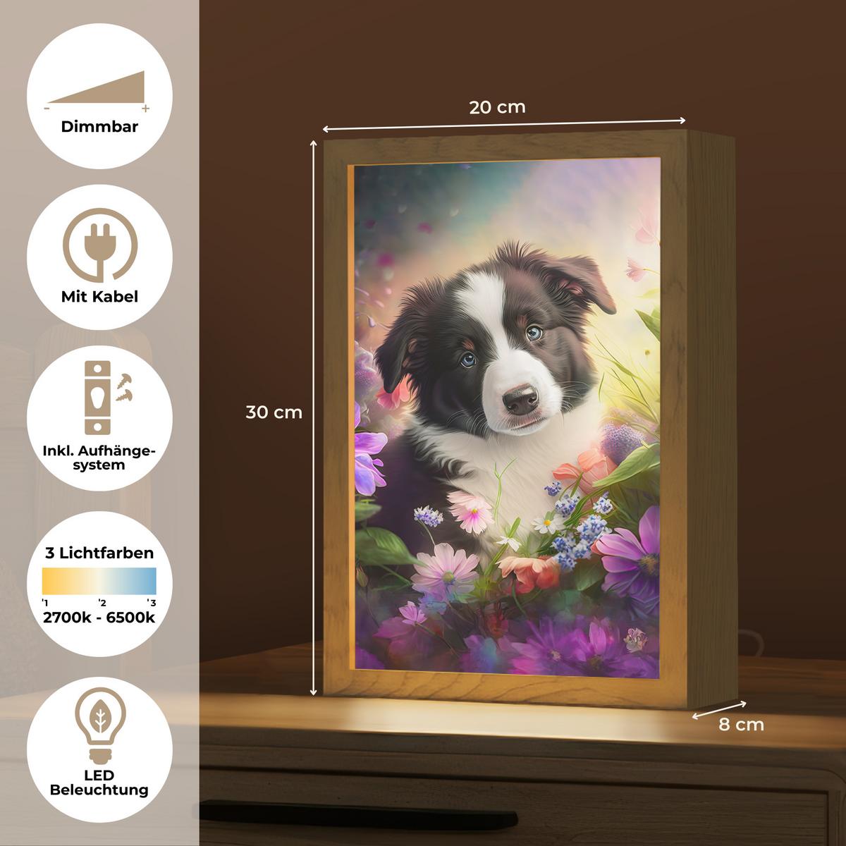 WANDLEUCHTE Welpe - Sonne - Blumen - Natur - Border Collie - Hund 20x30 cm - Violett, Holzwerkstoff (20/30/8cm) - OnlyWow