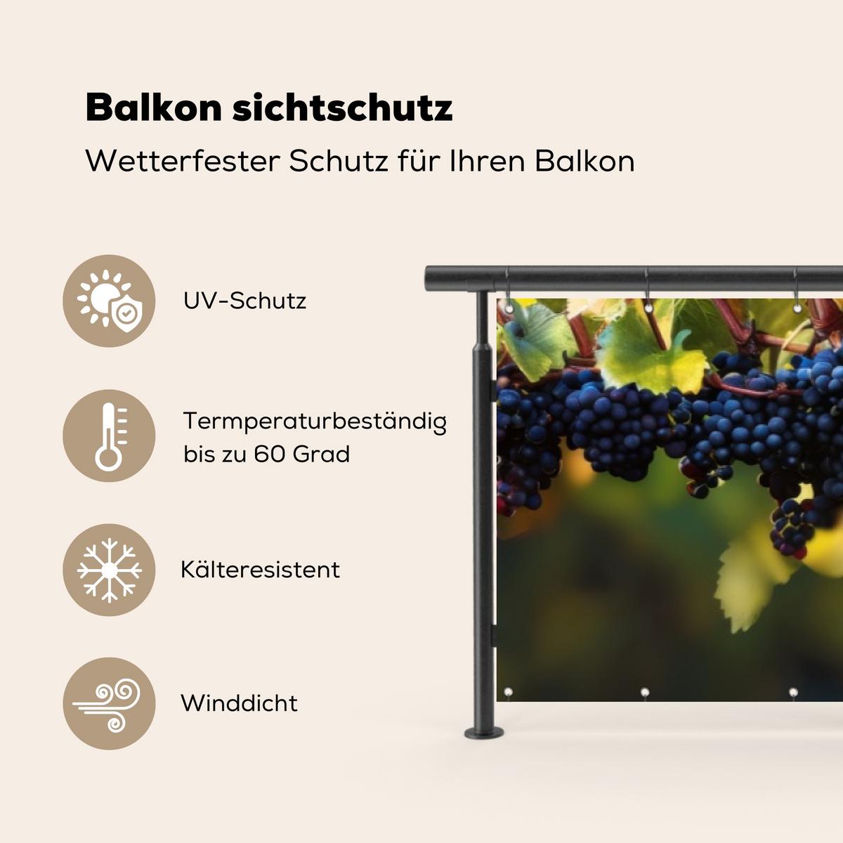 BALKON-SICHTSCHUTZ Trauben - Wein - Natur - Grün Groß 500x95 cm - Weinrot, Kunststoff (500/95cm) - MuchoWow