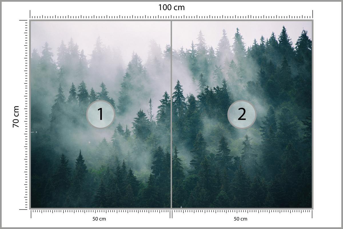 FOTOTAPETE Wald im Nebel Landschaft Natur 3D 100x70 - Türkis/Grau, Papier (100/70cm) - Muralo