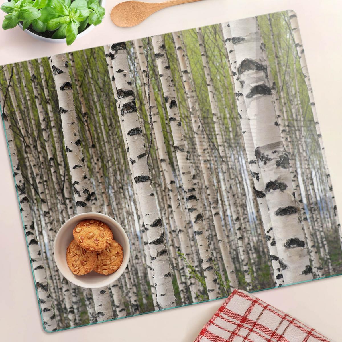 GLASPLATTE 60x52 cm Birkenwald - Weiß, Glas (60/0.4/52cm) - TULUP