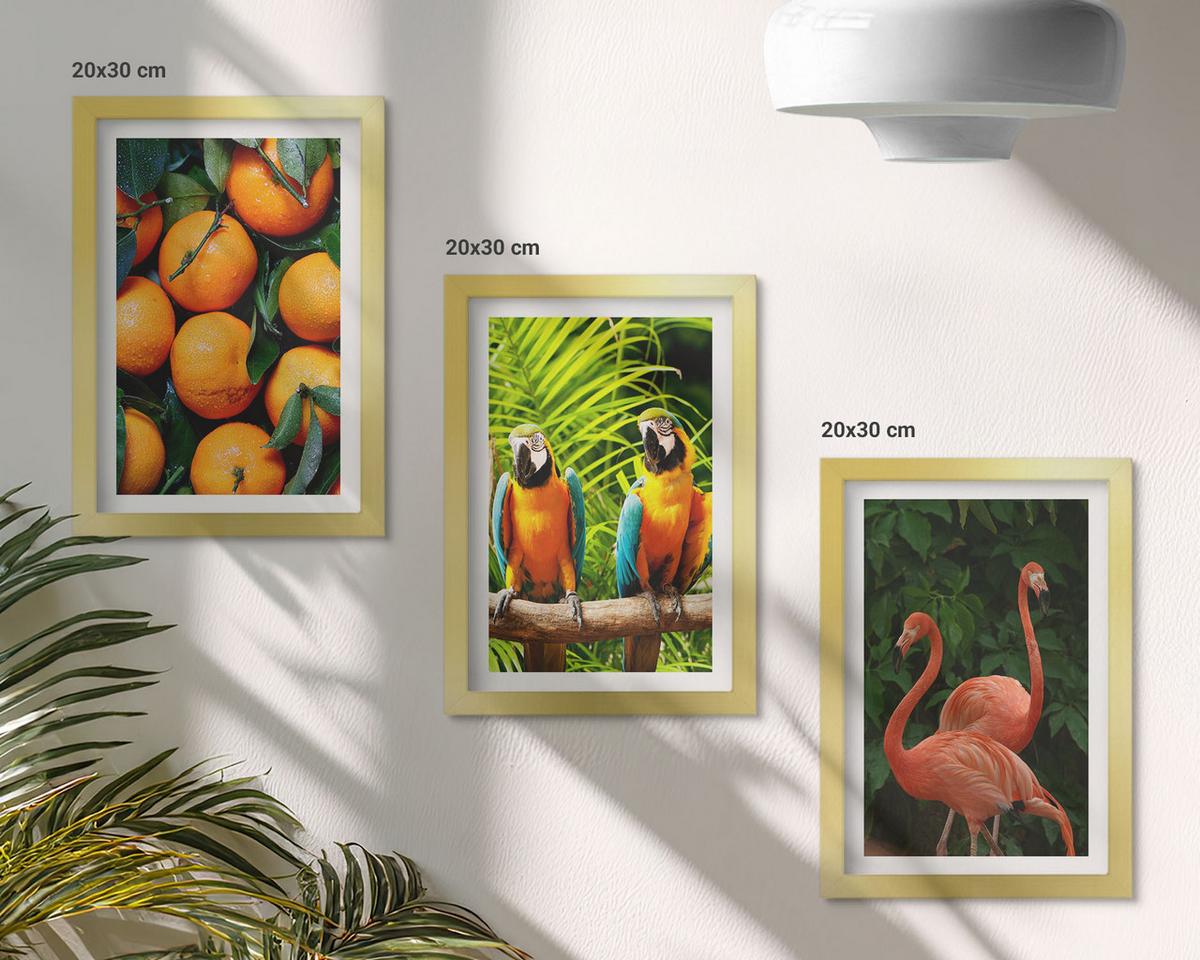 BILDER SET 3er Set - 20x30 cm Goldrahmen - Fruchtige Akzente in den Tropen - Goldfarben, Kunststoff (20/30cm) - TULUP