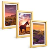 BILDER SET 3er Set - 20x30 cm Goldrahmen - Berglandschaft mit einem Pferd - Goldfarben, Kunststoff (20/30cm) - TULUP