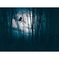VLIESTAPETE Blau 371/280 cm - Blau/Schwarz, Textil (371/1cm) - KUNSTLOFT