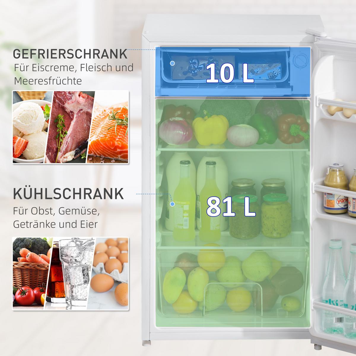MINIKÜHLSCHRANK mit Gefrierfach 91L Weiß - Weiß, Kunststoff (44.2/84/47.5cm) - HOMCOM