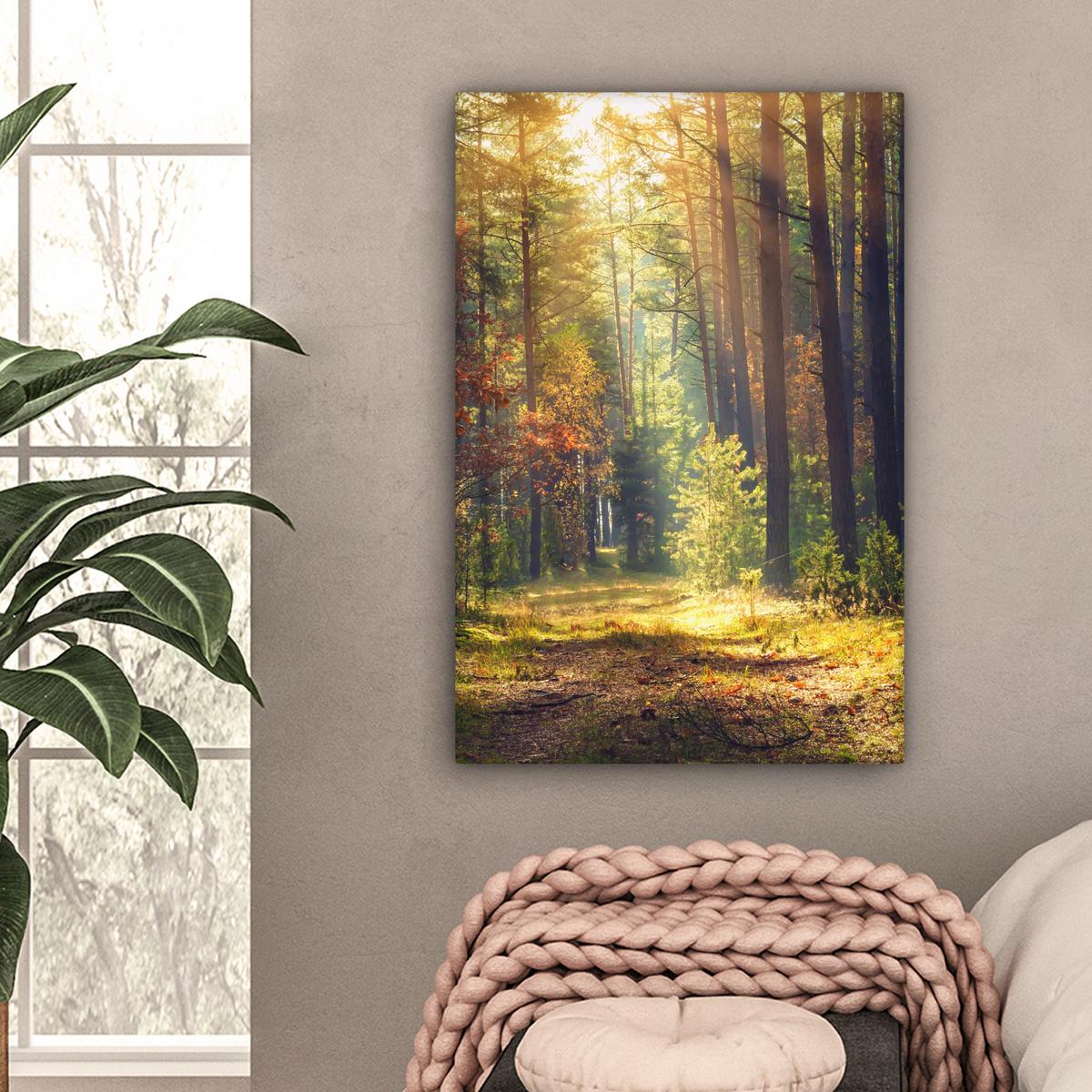 LEINWANDBILD Wald - Herbst - Bäume Wanddeko Schlafzimmer 60x90 cm - Dunkelgrün, Textil (60/90cm) - MuchoWow