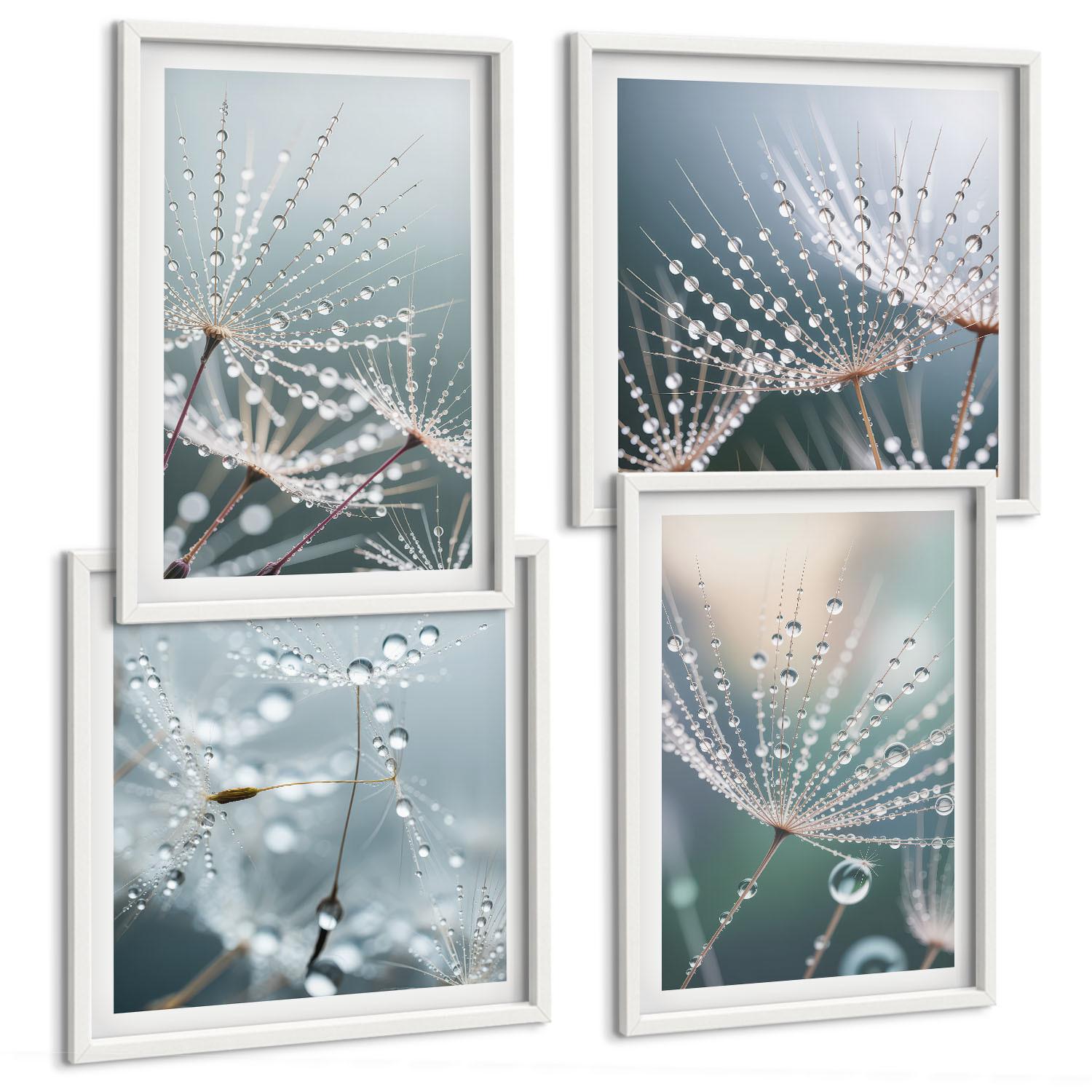 BILDER SET 4er Set - 50x50 cm & 40x60 cm Weißer Rahmen - Wassertropfen auf Löwenzahnsprossen - Weiß, Kunststoff (50/50cm) - TULUP