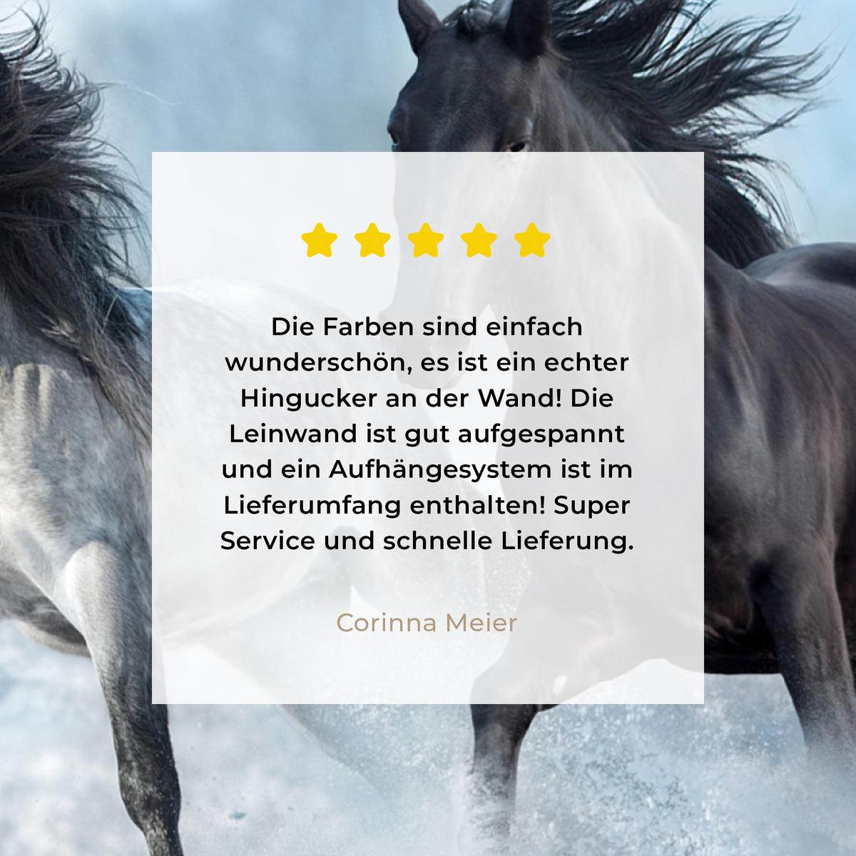 LEINWANDBILD Pferde - Winter - Tiere - Natur - Schnee Deko Groß 90x90 cm - Anthrazit, Textil (90/90cm) - MuchoWow