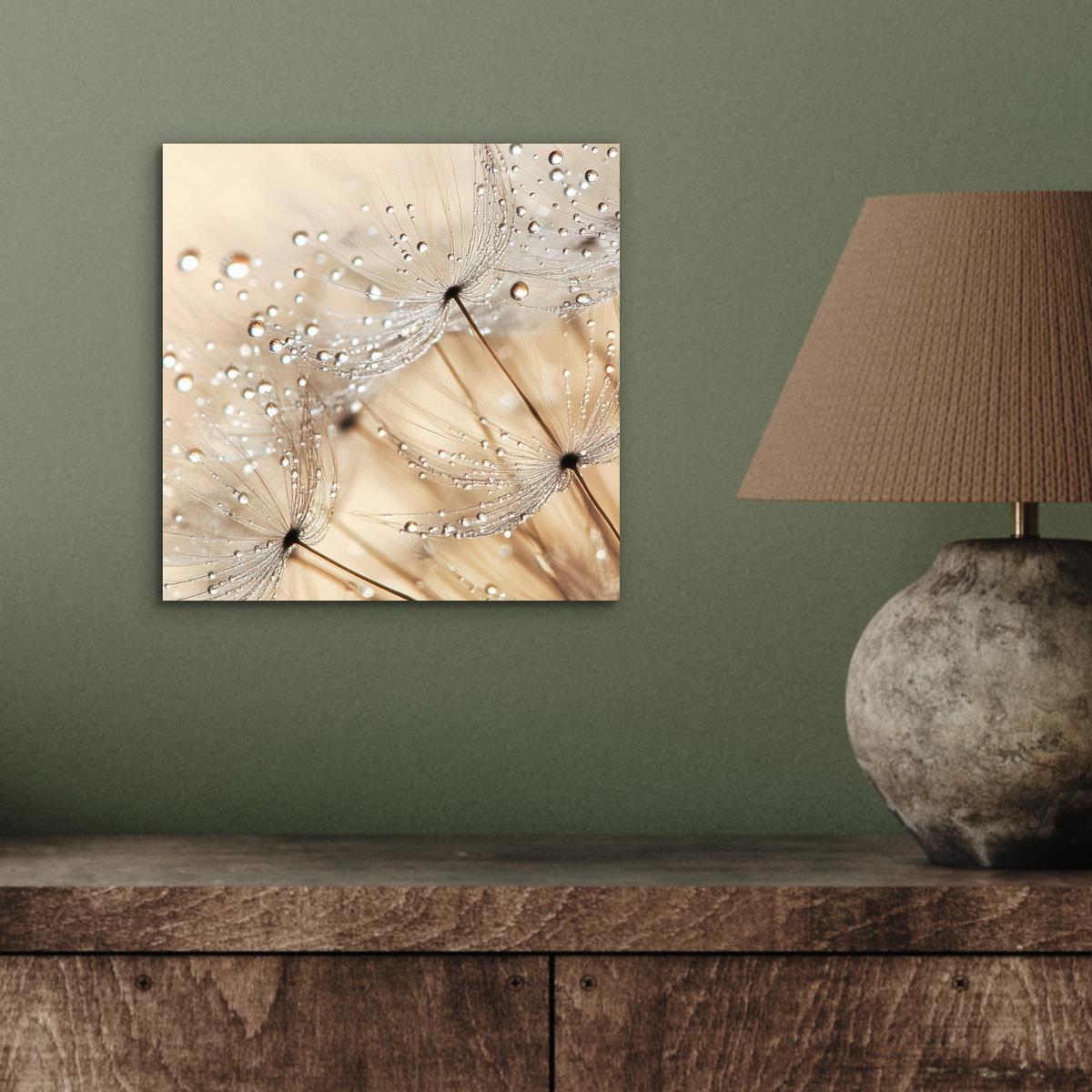 METALLBILD Löwenzahn - Abstrakt - Natur - Beige 20x20 cm - Braun, Metall (20/20cm) - MuchoWow