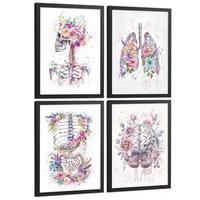 POSTER Set aus 4 Anatomie Mensch Drucke und mit Schädel Lungen Verdauungssystem und Gehirn Florales Aquarell Design Größe Schwarzer Rahmen A3 - Schwarz, Papier (29.7/42/3cm) - Nacnic