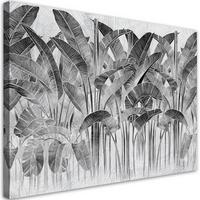 WANDBILD bananenblätter grau pflanzen - Grau, Textil (60/40cm) - Feeby