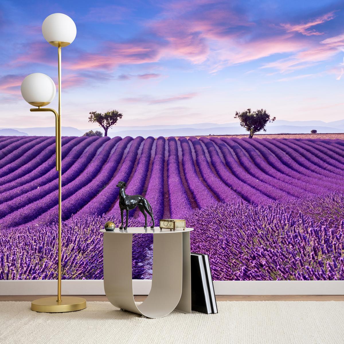 FOTOTAPETE für Küche Lavendelfeld Lila Natur Sträucher 400x280 - Blau/Violett, Papier (400/280cm) - Muralo