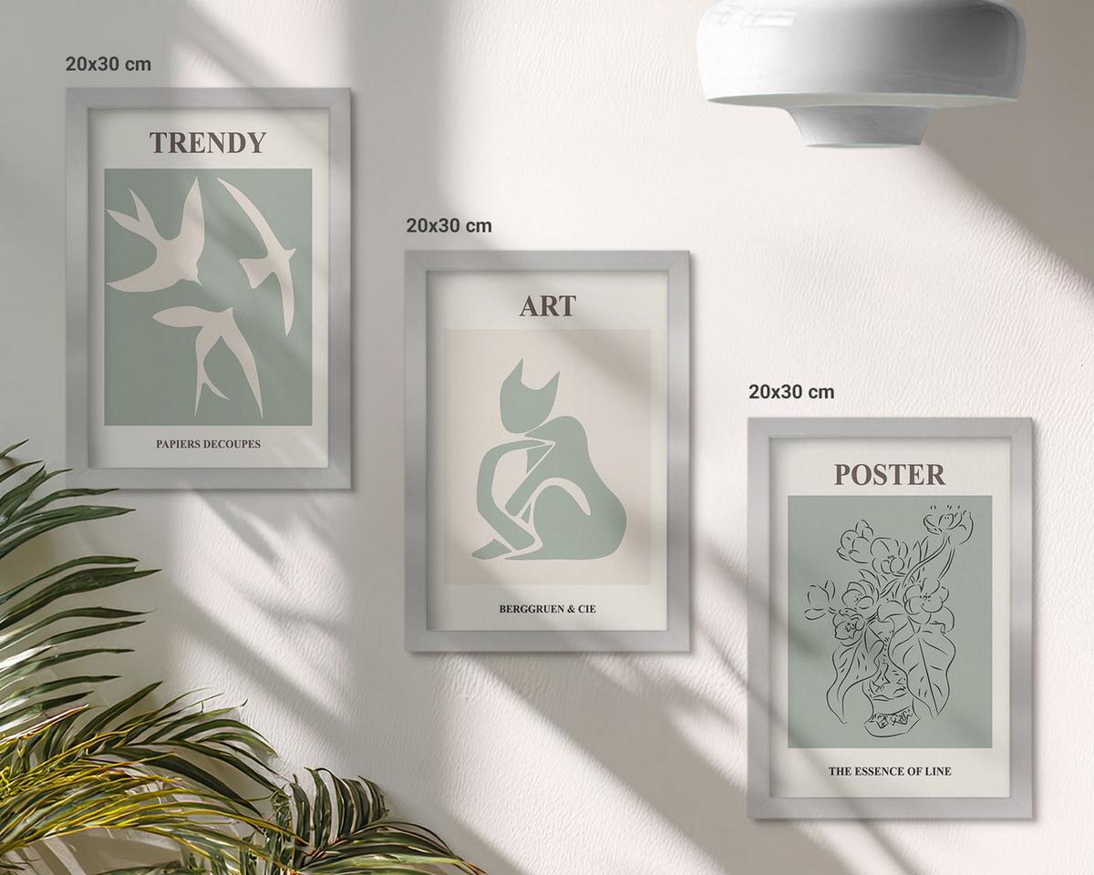 BILDER SET 3er Set - 20x30 cm Silberner Rahmen - Matisses stilvolle Illustrationen - Silberfarben, Kunststoff (20/30cm) - TULUP