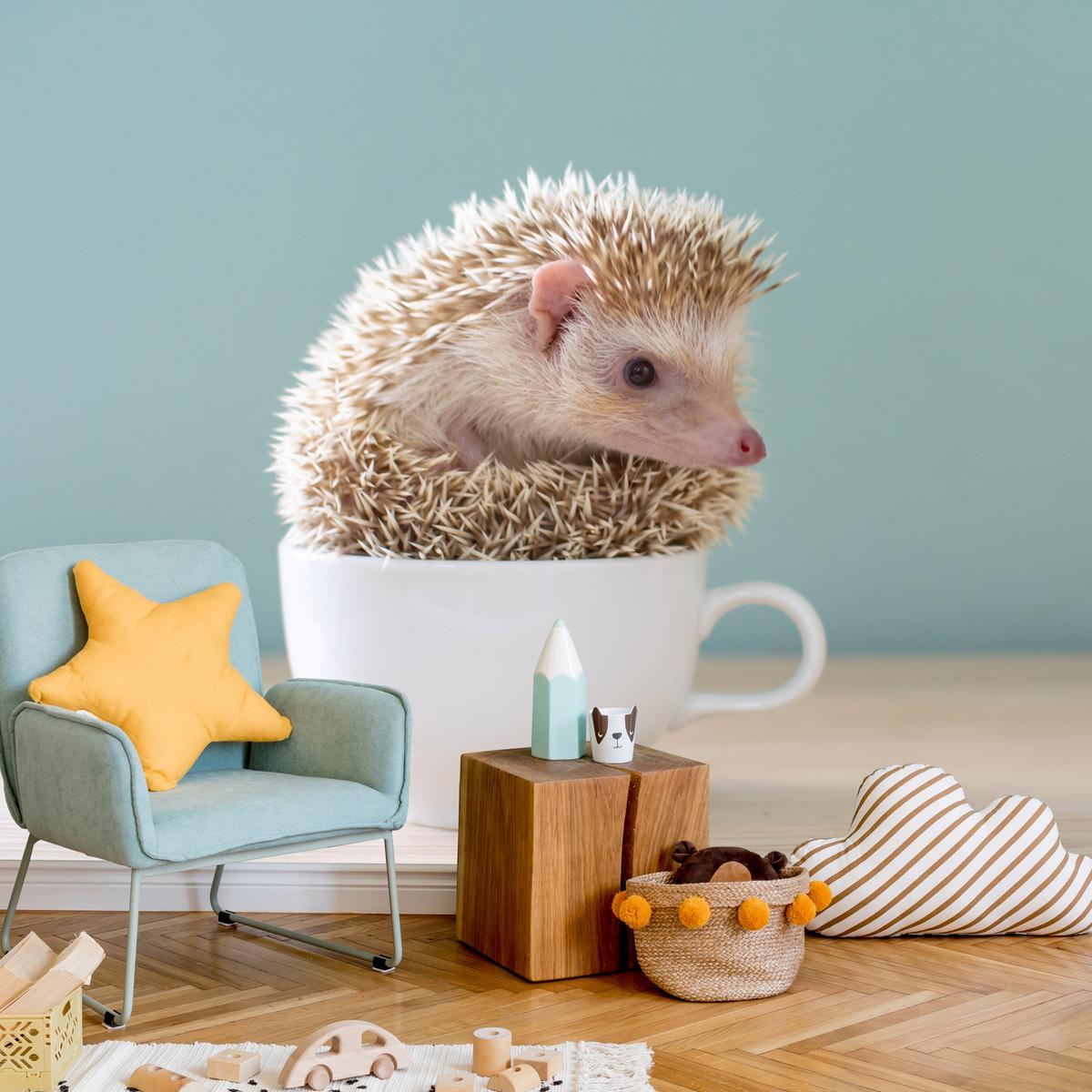 FOTOTAPETE für Esszimmer Igel Weiße Tasse Süß Tier 100x70 - Beige/Weiß, Papier (100/70cm) - Muralo