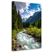 LEINWANDBILD Berglandschaft Bach Natur 80x120cm - Grün, Textil (80/120cm) - Feeby