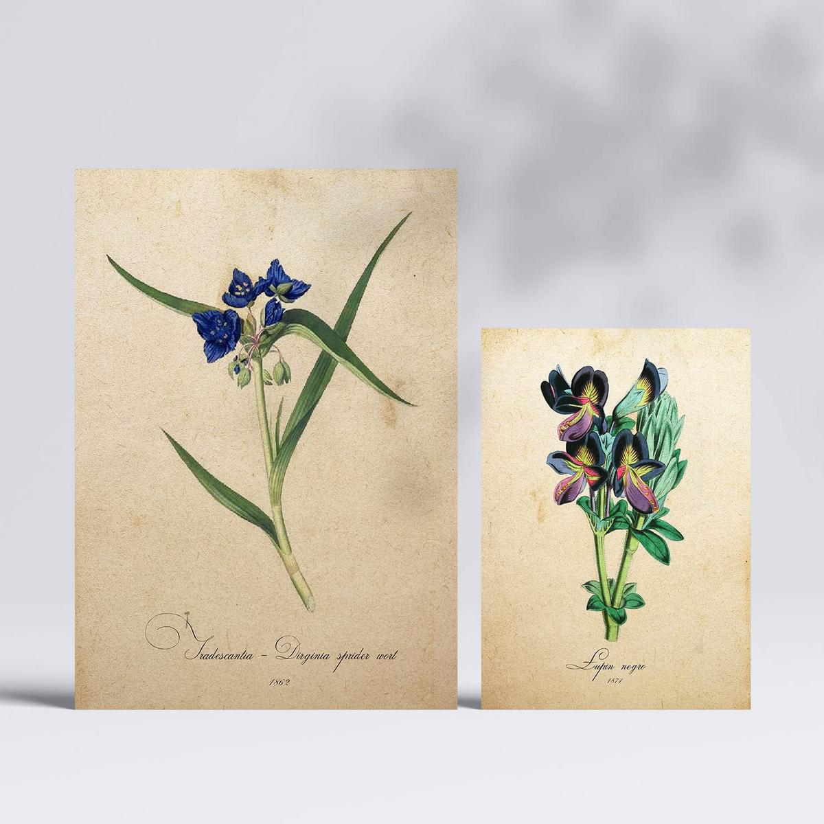 POSTER Set Mit 6 Blaue Blumen Vollfarbige Blumenmotiven Im Vintage Papier Stil A3 & A4 Rahmenlos - Klar, Papier (29/3cm) - Nacnic