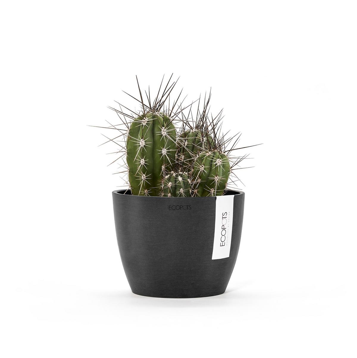 BLUMENTOPF Stockholm Mini 16,2/12 cm Dunkelgrau - Dunkelgrau, Kunststoff (16.2/12cm) - Ecopots