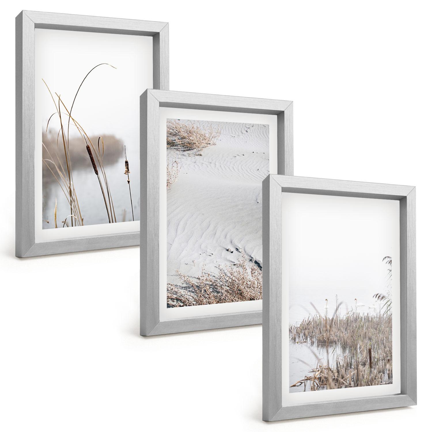 BILDER SET 3er Set - 20x30 cm Silberner Rahmen - Wasserpflanzen im Sommer - Silberfarben, Kunststoff (20/30cm) - TULUP