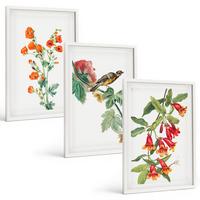 BILDER SET 3er Set - 40x60 cm Weißer Rahmen - Gemalte Blumen und ein Vogel - Weiß, Kunststoff (40/60cm) - TULUP