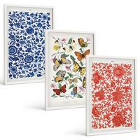 BILDER SET 3er Set - 40x60 cm Weißer Rahmen - Vintage-Blumen-Schmetterlings-Ornamente - Weiß, Kunststoff (40/60cm) - TULUP
